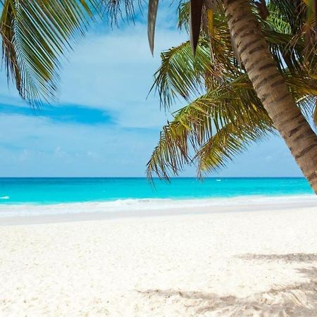 All Season Paradise In Cortez Bradenton Extérieur photo