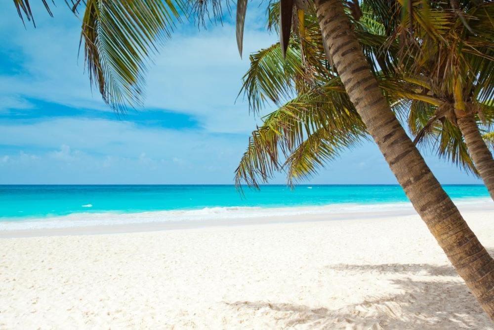 All Season Paradise In Cortez Bradenton Extérieur photo